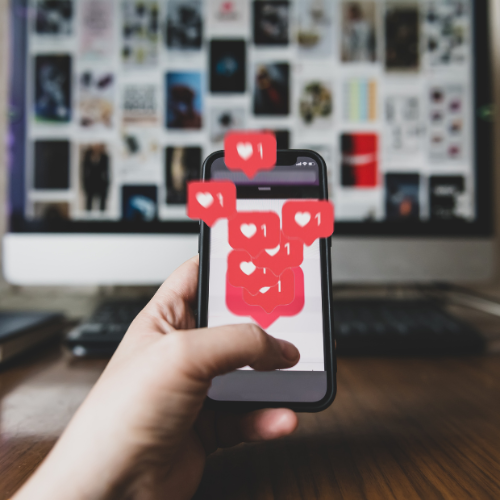 ncpn 2024 website 500 x 500 photos